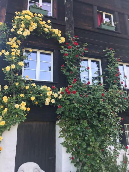 Charming Alps Apartment Perfect For Walk/Cycle/Ski Eschenbach 外观 照片