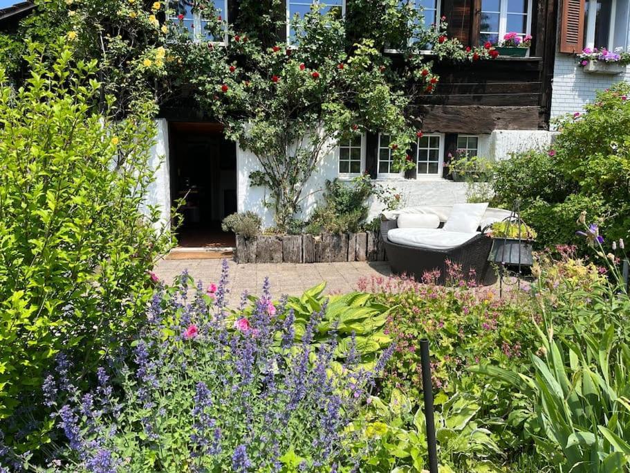 Charming Alps Apartment Perfect For Walk/Cycle/Ski Eschenbach 外观 照片
